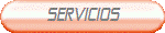 SERVICIOS
